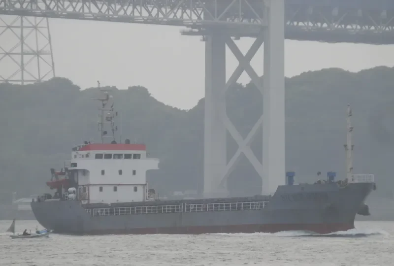 SILVER OCEAN Bulk Carrier IMO 9298430 photo 7