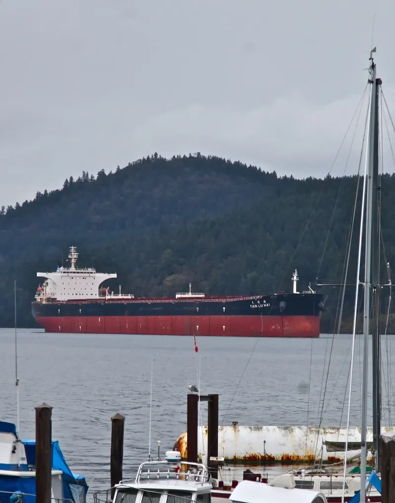 TIAN LU HAI Bulk Carrier IMO 9298480