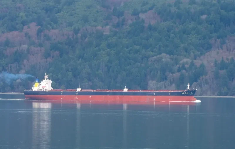 TIAN LU HAI Bulk Carrier IMO 9298480 photo 3