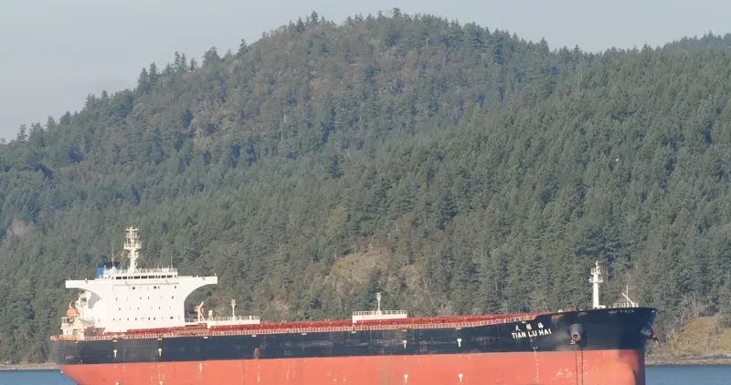TIAN LU HAI Bulk Carrier IMO 9298480 photo 4