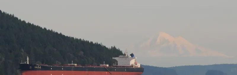 TIAN LU HAI Bulk Carrier IMO 9298480 photo 5