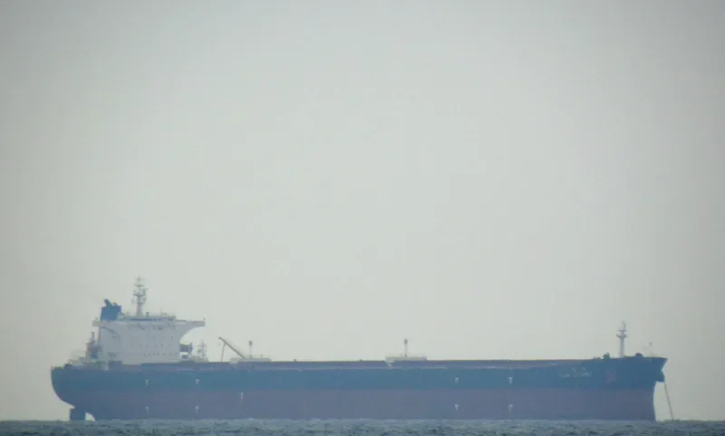 TIAN LU HAI Bulk Carrier IMO 9298480 photo 6