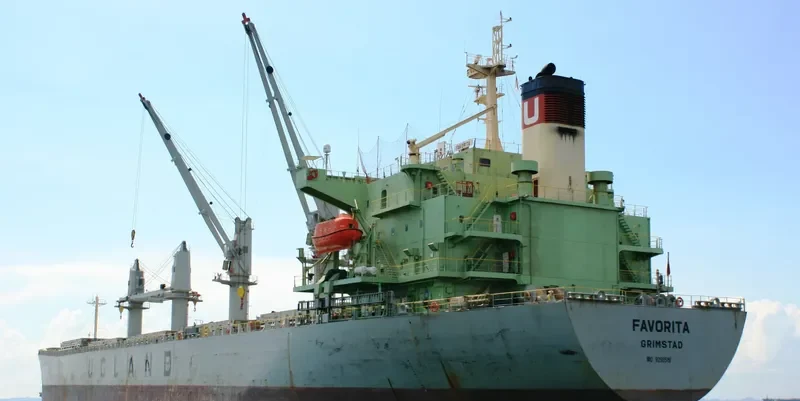 WORLDERA 6 Bulk Carrier IMO 9298519