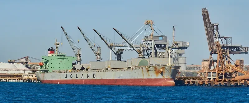 WORLDERA 6 Bulk Carrier IMO 9298519 photo 5