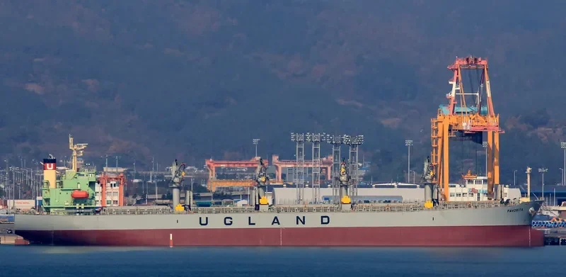 WORLDERA 6 Bulk Carrier IMO 9298519 photo 6