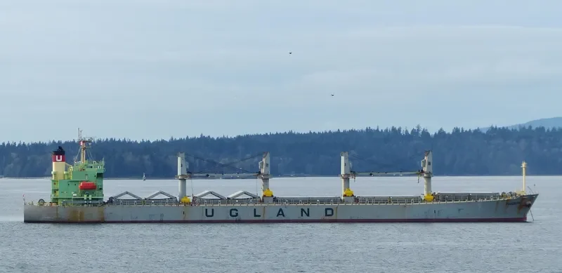 WORLDERA 6 Bulk Carrier IMO 9298519 photo 8