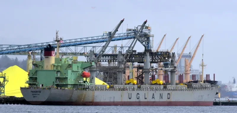 WORLDERA 6 Bulk Carrier IMO 9298519 photo 10