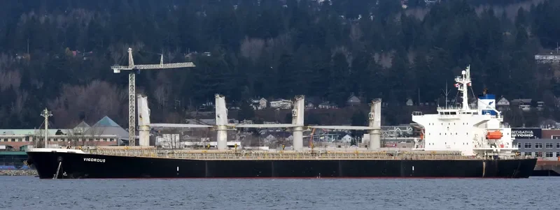 VIGOROUS Bulk Carrier IMO 9298521 photo 2