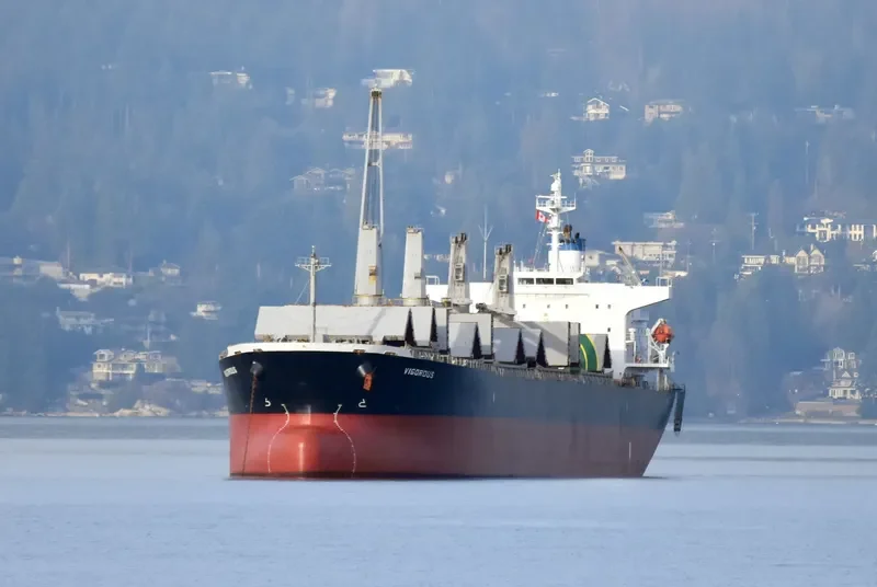 VIGOROUS Bulk Carrier IMO 9298521 photo 3