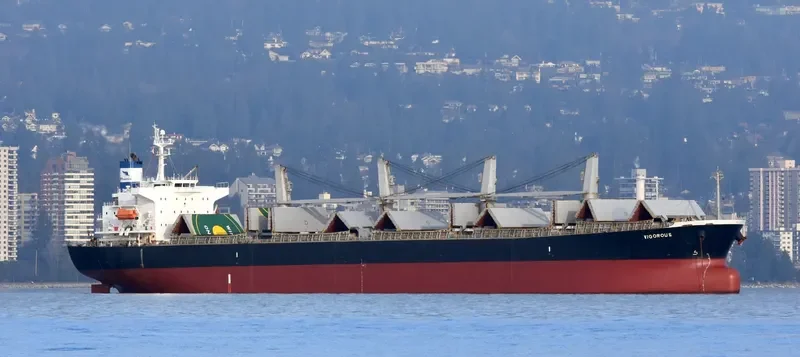 VIGOROUS Bulk Carrier IMO 9298521 photo 4
