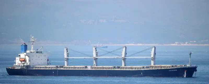 VIGOROUS Bulk Carrier IMO 9298521 photo 8