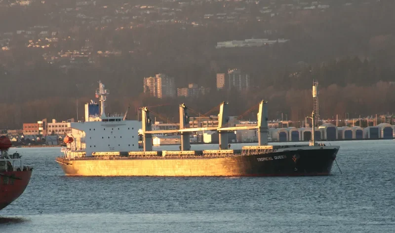 VIGOROUS Bulk Carrier IMO 9298521 photo 10