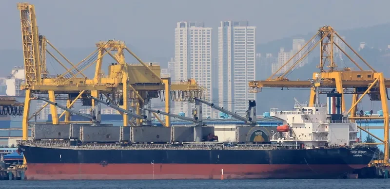 THOR INSUVI Bulk Carrier IMO 9298533 photo 3