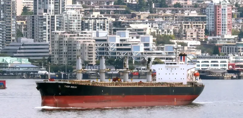 THOR INSUVI Bulk Carrier IMO 9298533 photo 6