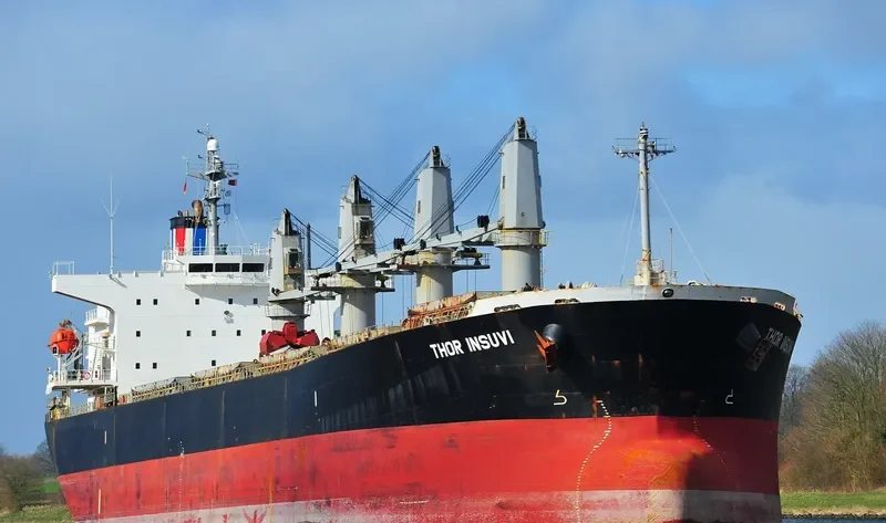 THOR INSUVI Bulk Carrier IMO 9298533 photo 10