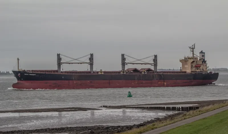 BULK TRIDENT Bulk Carrier IMO 9298545