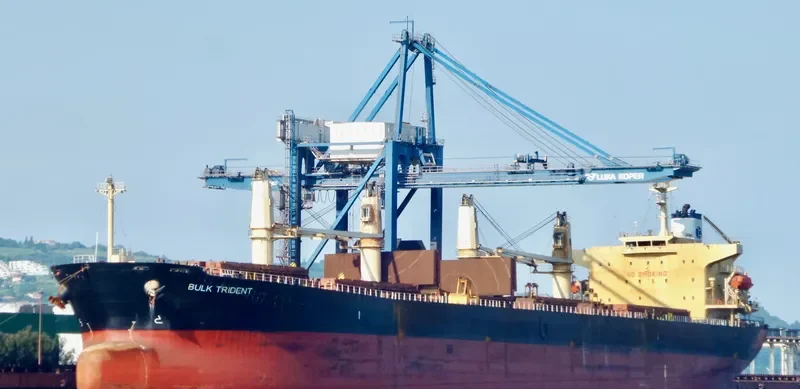 BULK TRIDENT Bulk Carrier IMO 9298545 photo 2