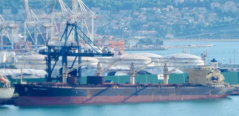 BULK TRIDENT Bulk Carrier IMO 9298545 photo 3