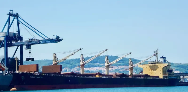 BULK TRIDENT Bulk Carrier IMO 9298545 photo 4