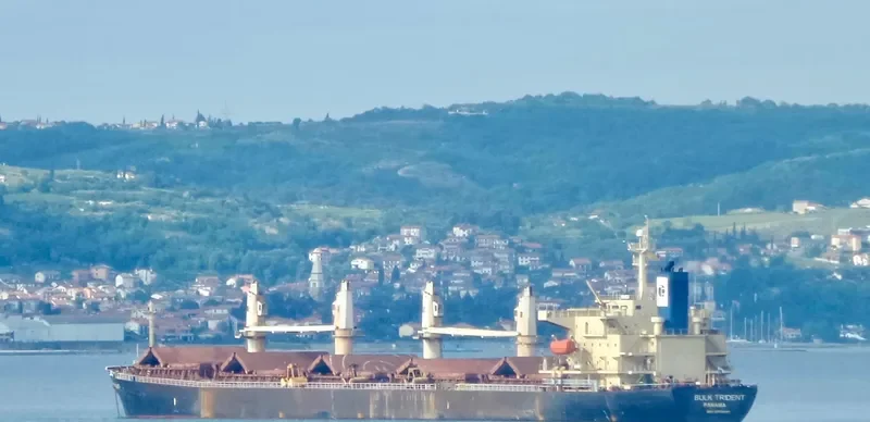 BULK TRIDENT Bulk Carrier IMO 9298545 photo 5