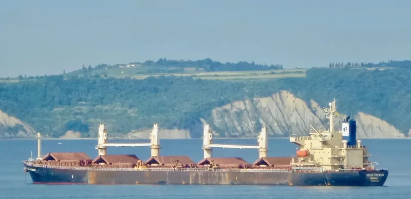 BULK TRIDENT Bulk Carrier IMO 9298545 photo 6