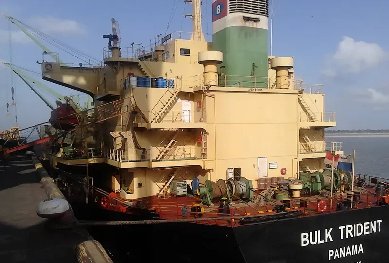 BULK TRIDENT Bulk Carrier IMO 9298545 photo 7