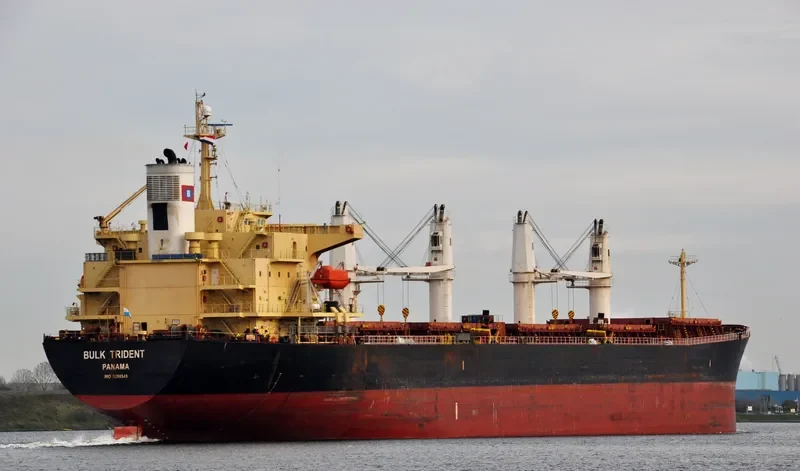 BULK TRIDENT Bulk Carrier IMO 9298545 photo 8