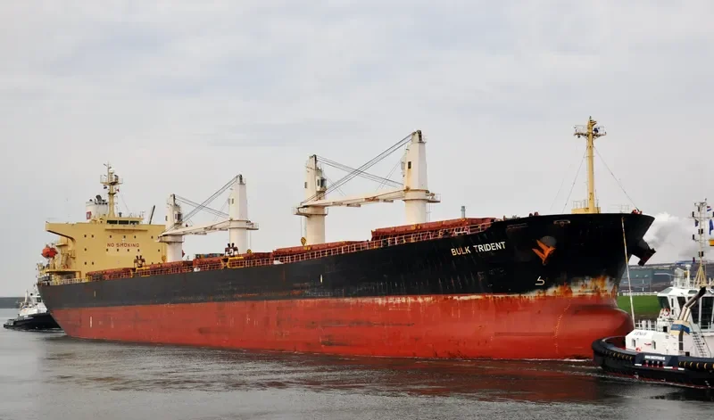 BULK TRIDENT Bulk Carrier IMO 9298545 photo 9
