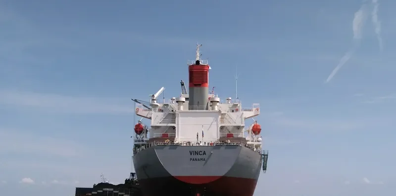 VINCA Bulk Carrier IMO 9298557