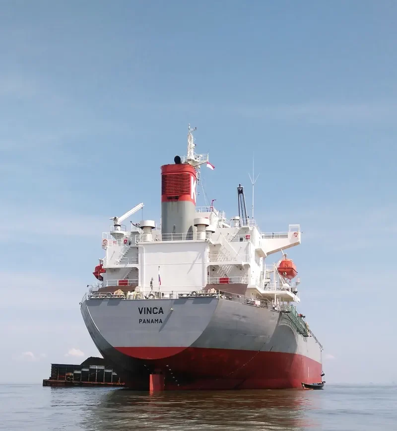 VINCA Bulk Carrier IMO 9298557 photo 2
