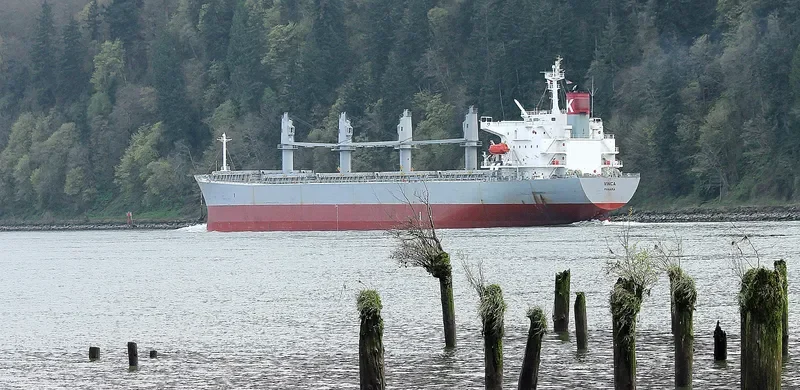 VINCA Bulk Carrier IMO 9298557 photo 5