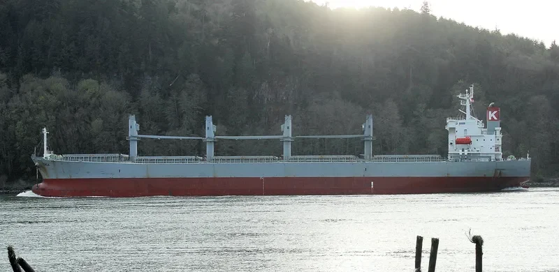 VINCA Bulk Carrier IMO 9298557 photo 6