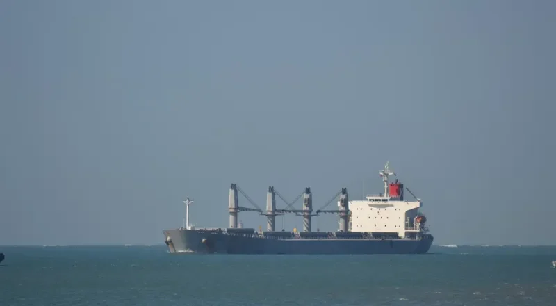 VINCA Bulk Carrier IMO 9298557 photo 7