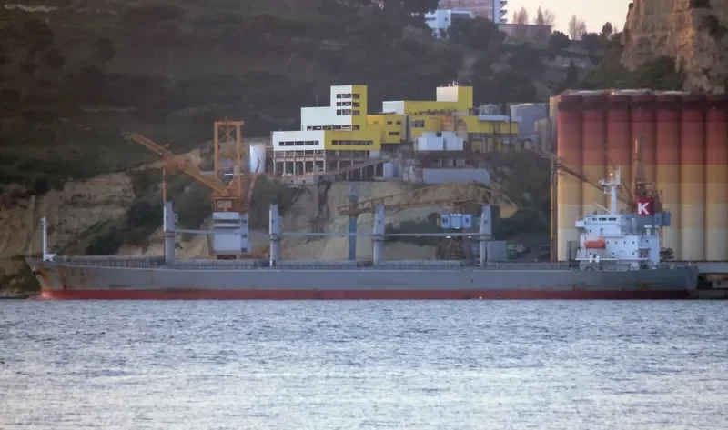 VINCA Bulk Carrier IMO 9298557 photo 8