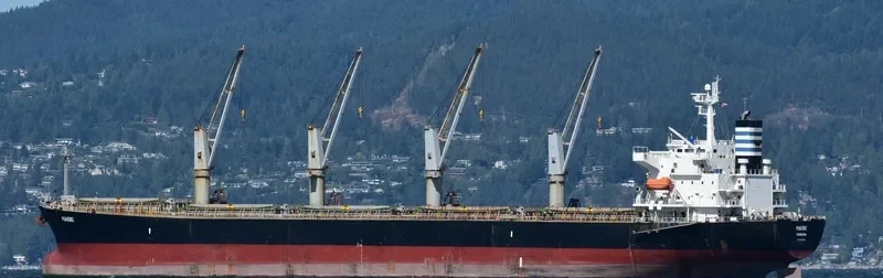 MAKIKI Bulk Carrier IMO 9298569 photo 3