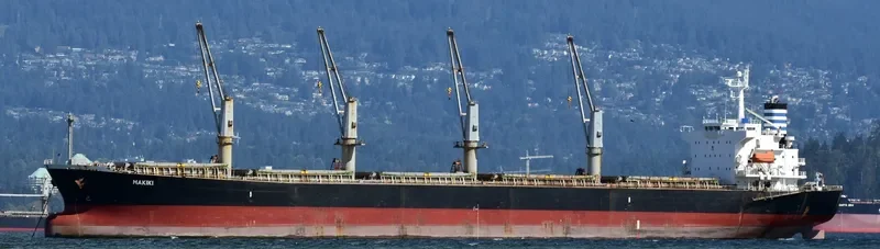 MAKIKI Bulk Carrier IMO 9298569 photo 4