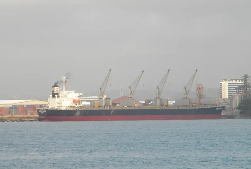 MAKIKI Bulk Carrier IMO 9298569 photo 7