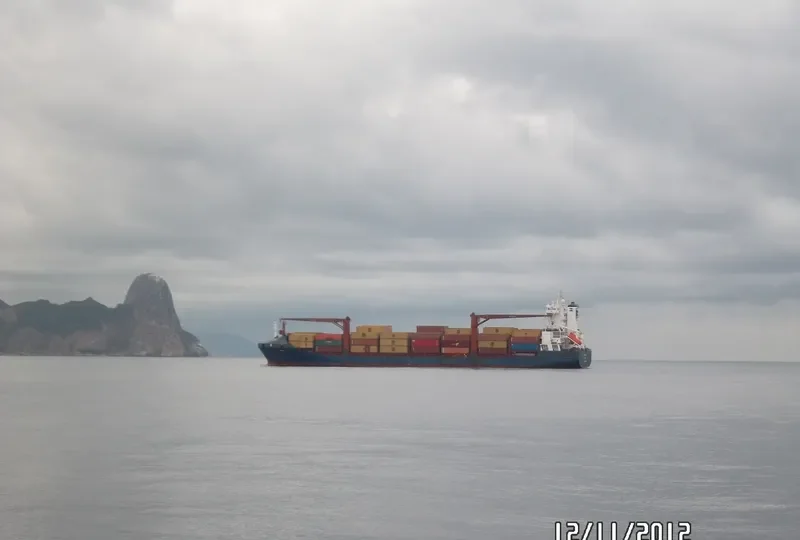 ANGELN Container Ship IMO 9298600