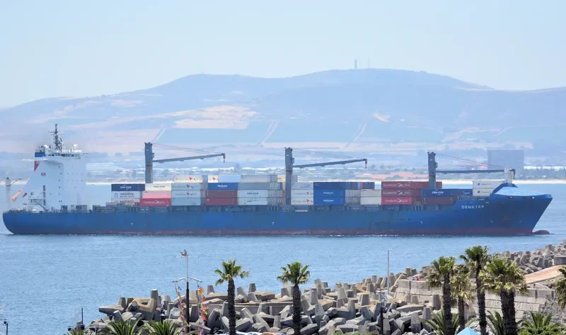 DEMETER Container Ship IMO 9298636 photo 6