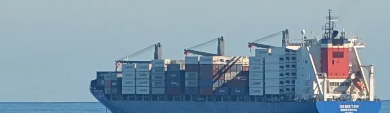 DEMETER Container Ship IMO 9298636 photo 9