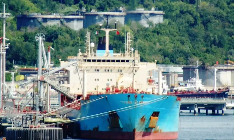 BLUE COMMANDER Tanker IMO 9298818 photo 6