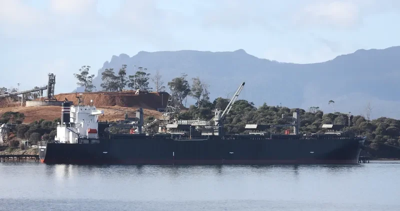 KUTAI EXPRESS Bulk Carrier IMO 9298923 photo 3