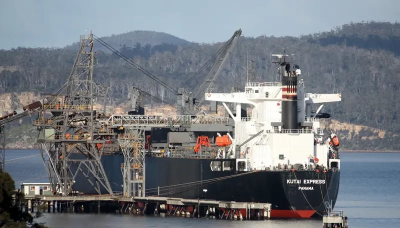 KUTAI EXPRESS Bulk Carrier IMO 9298923 photo 4