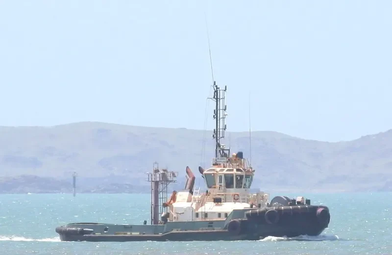 PILBARA NEPTUNE General Cargo IMO 9298947 photo 3