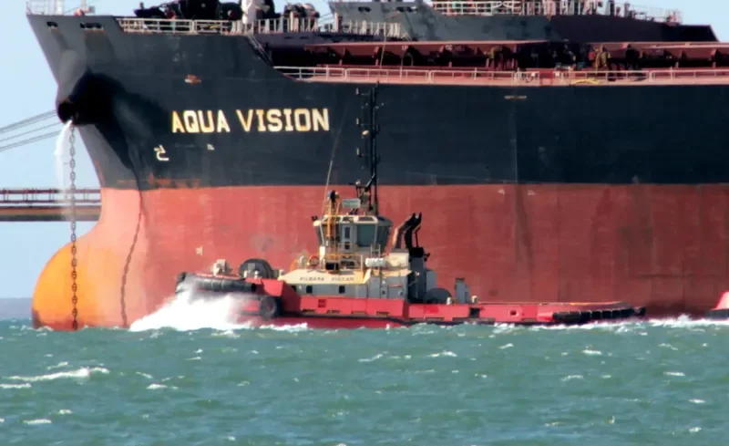 PILBARA VULCAN General Cargo IMO 9298959 photo 2