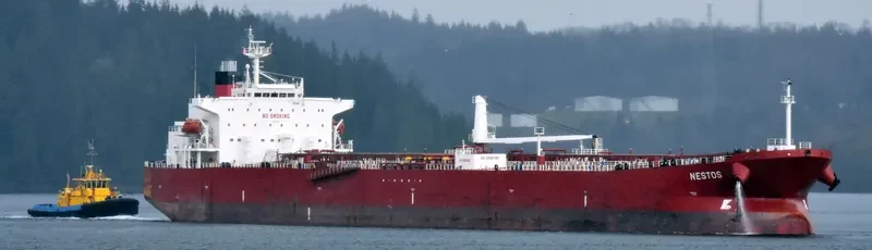 VILMA Tanker IMO 9298961 photo 9