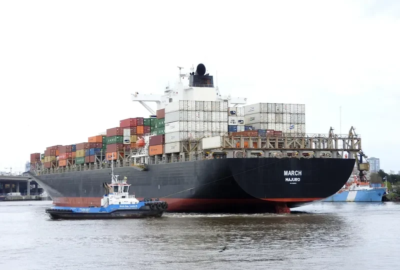 MY NY Container Ship IMO 9298997 photo 4