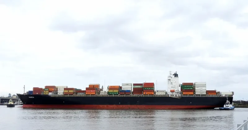MY NY Container Ship IMO 9298997 photo 5