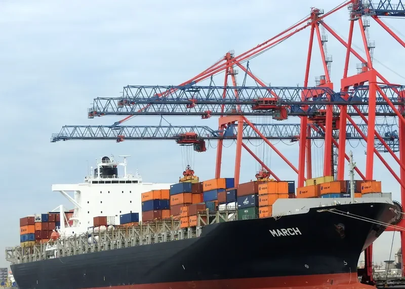 MY NY Container Ship IMO 9298997 photo 9