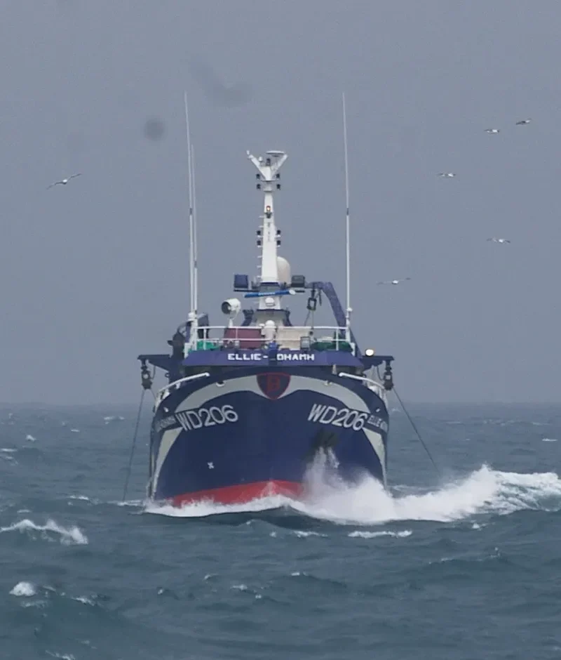 ELLIE ADHAMH General Cargo IMO 9299238 photo 7